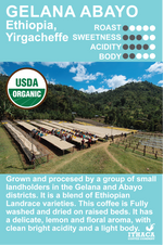 Load image into Gallery viewer, ETHIOPIA YIRGACHEFFE GELANA ABAYO ORGANIC
